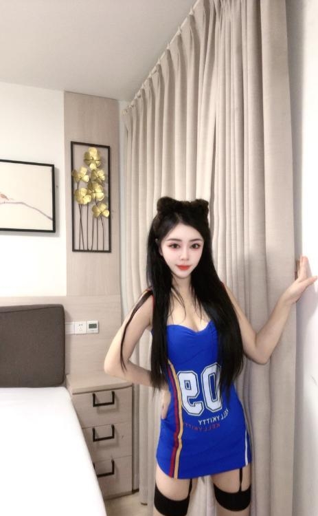 姑苏小野猫可可豆